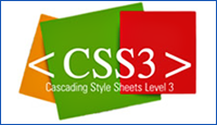 Каскадные таблицы стилей CSS – основа создания профессионального сайта